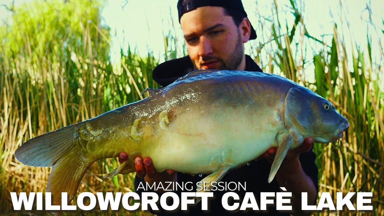 INSANE Carp Session at Willowcroft Caf&eacute; Lake | Fish After Fish!