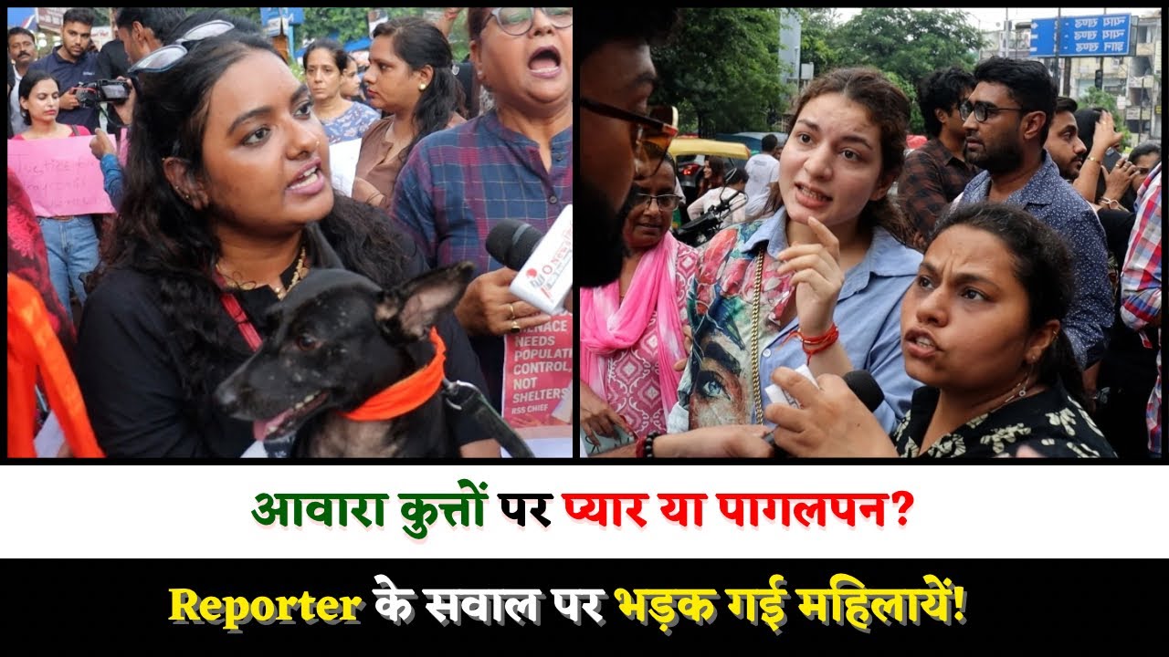 आवारा कुत्तों पर प्यार या पागलपन? Reporter के सवाल पर भड़क गई महिलायें!