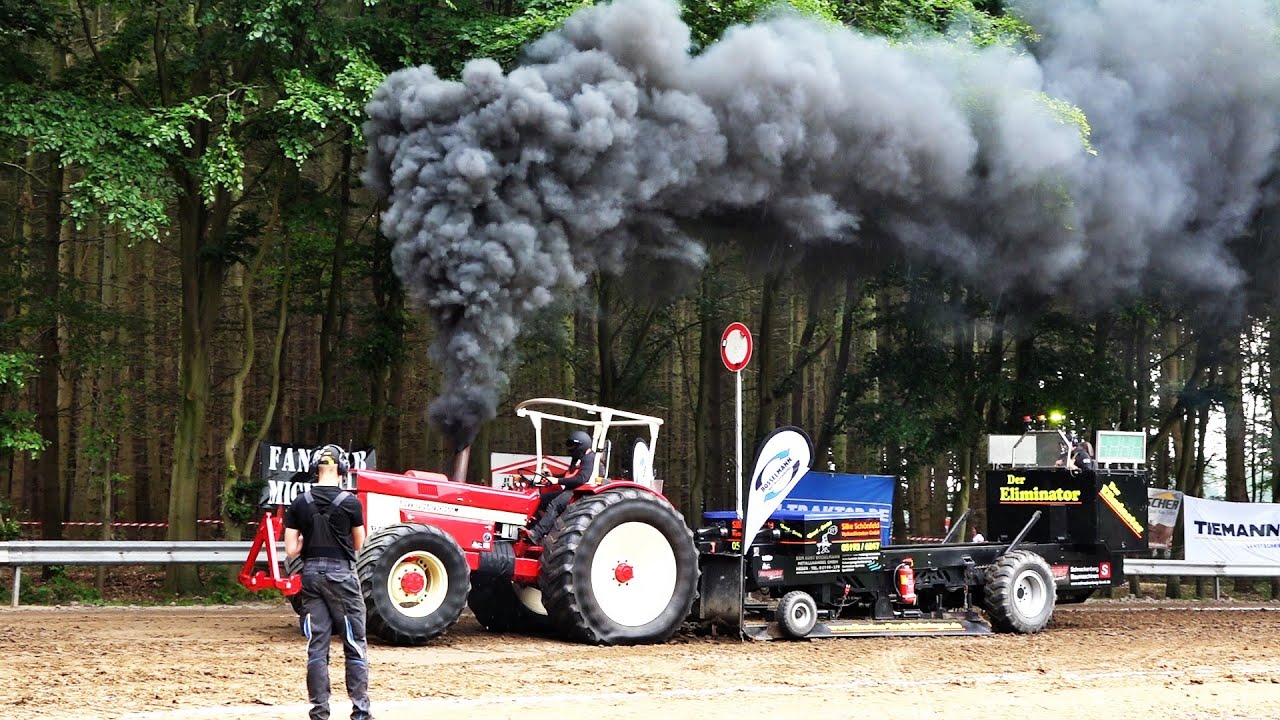 4,5t Holstein Sport in Alfstedt 26.06.2021