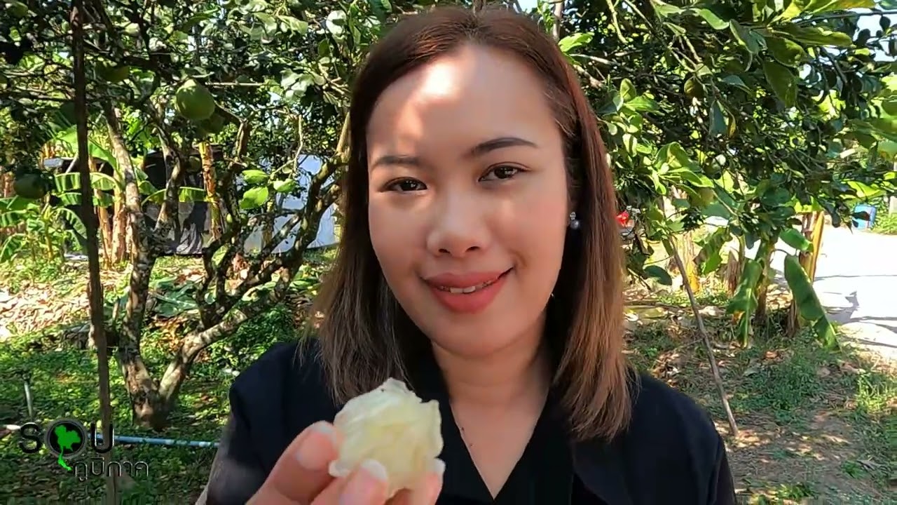 รายการรอบภูมิภาค ตอน ส้มโอ สมุทรสงคราม