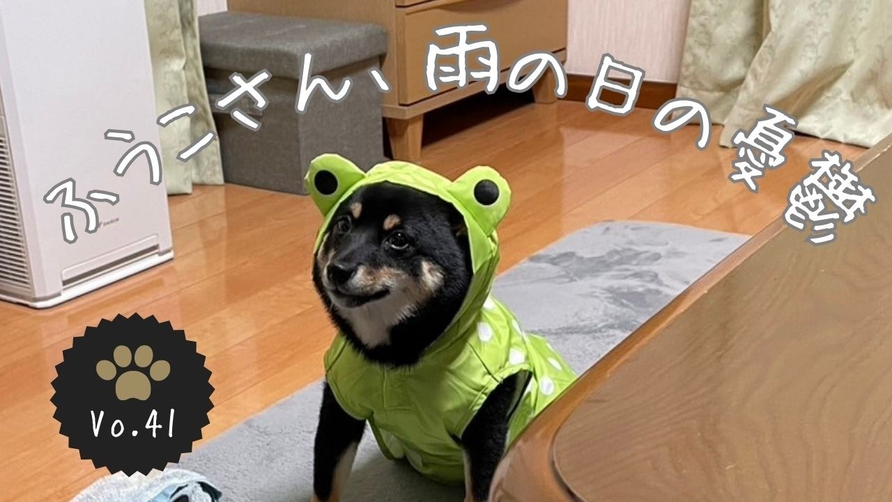 雨の日の憂鬱　ふうこさんカッパコレクション