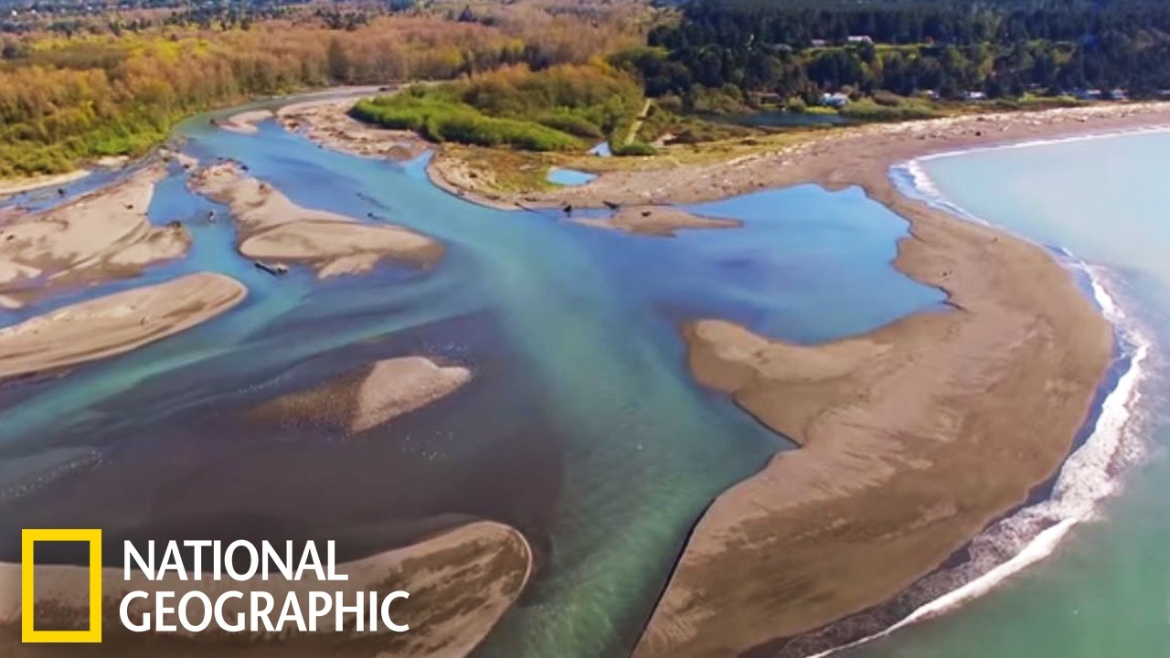 Le fonctionnement du littoral