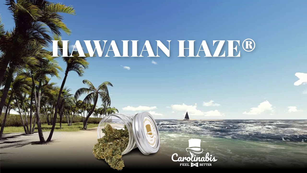 Hawaiian Haze