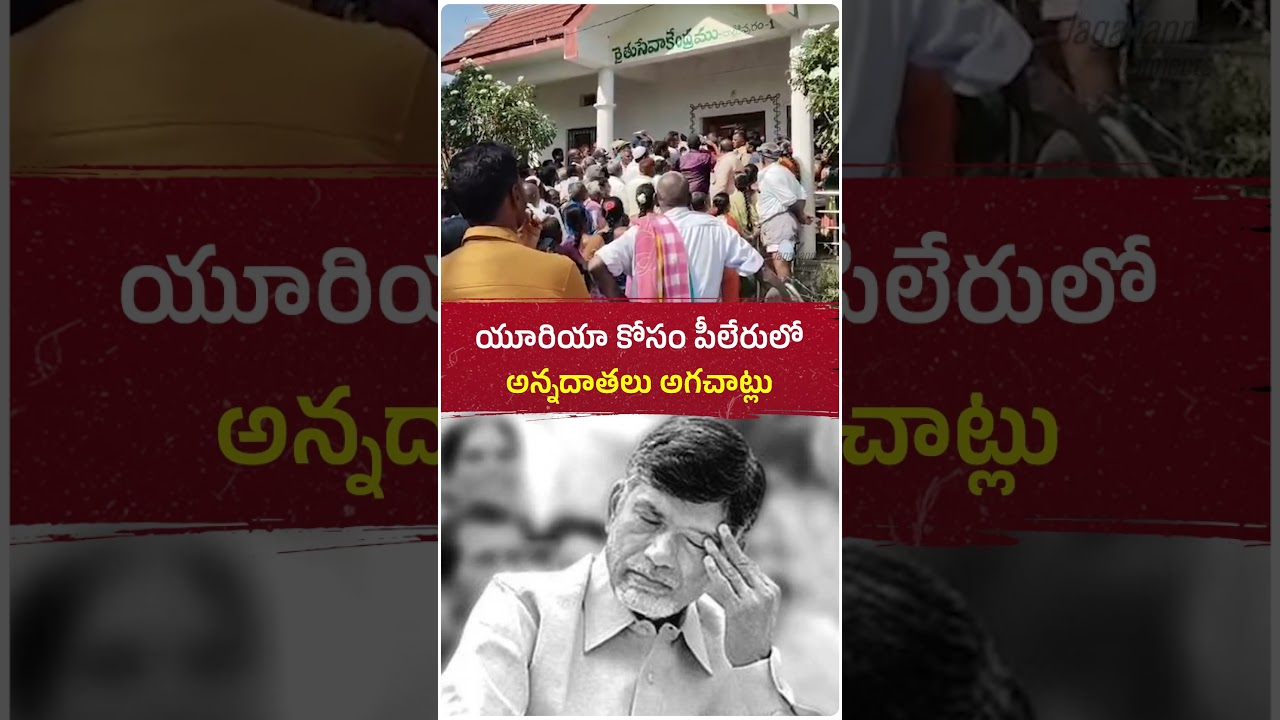 యూరియా కోసం వాయల్పాడులో అన్నదాతలు అగచాట్లు పడుతున్నారు.ఇంకెంతకాలం ఈ యూరియా కష్టాలు, చంద్రబాబు?