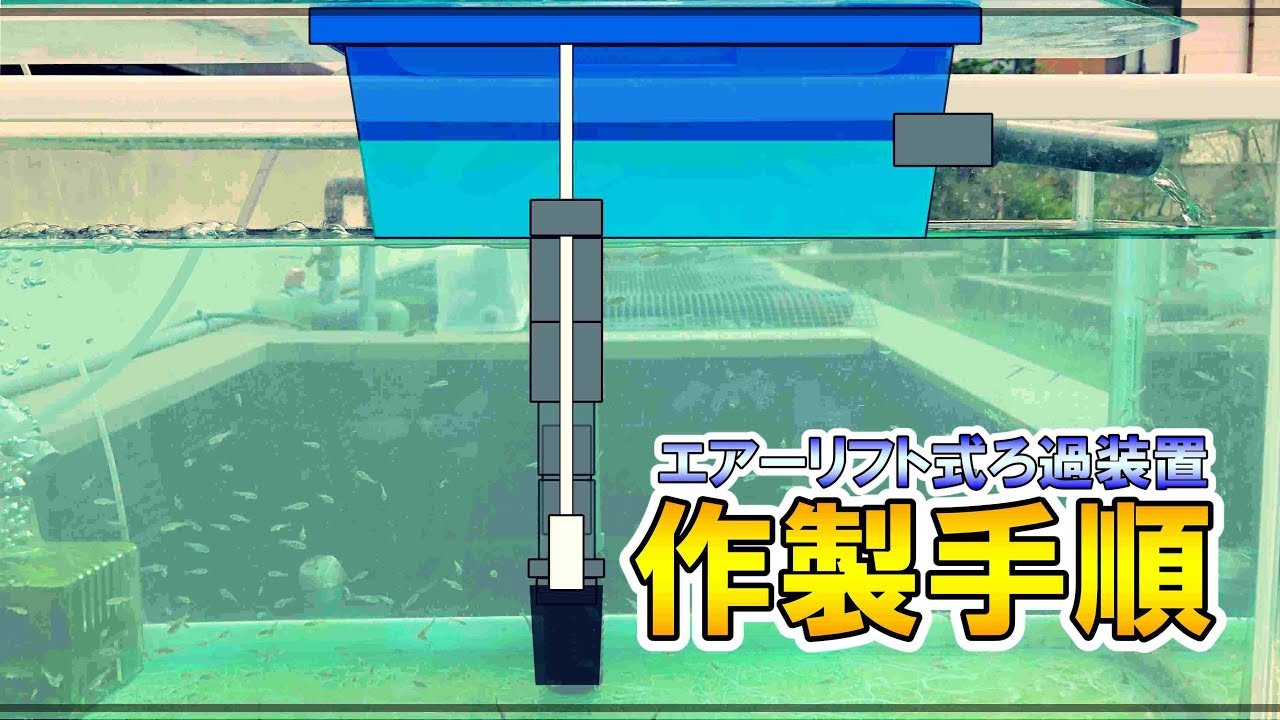 【DIY】エアーリフト式ろ過装置の作製手順と設置後の状況！