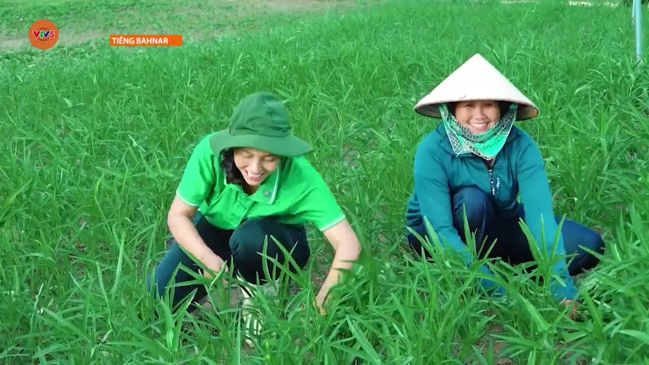 [TIẾNG BA NA] SỨC SỐNG MỚI Ở XÃ ĐẢO DUY NHẤT CỦA HÀ NỘI  | VTV5