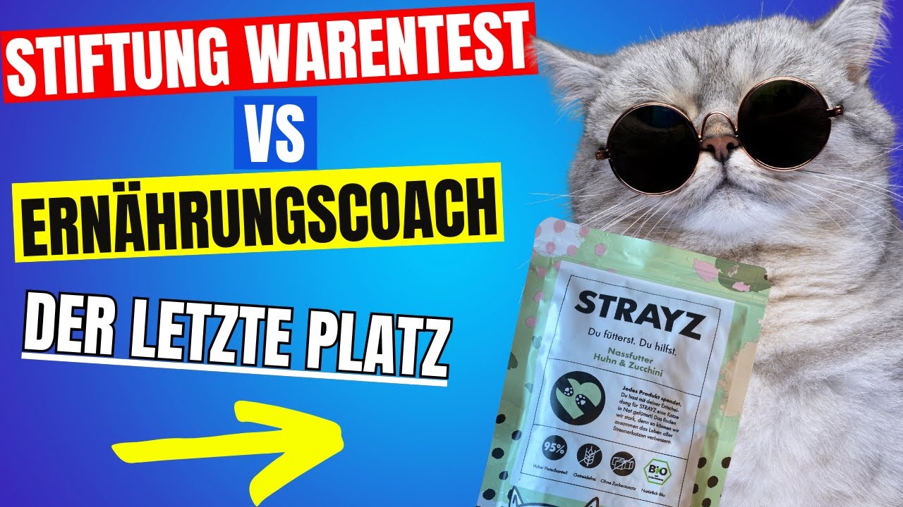 Stiftung Warentest Flop: Warum Strayz Katzenfutter versagt – Ein Ernährungsberater klärt auf!