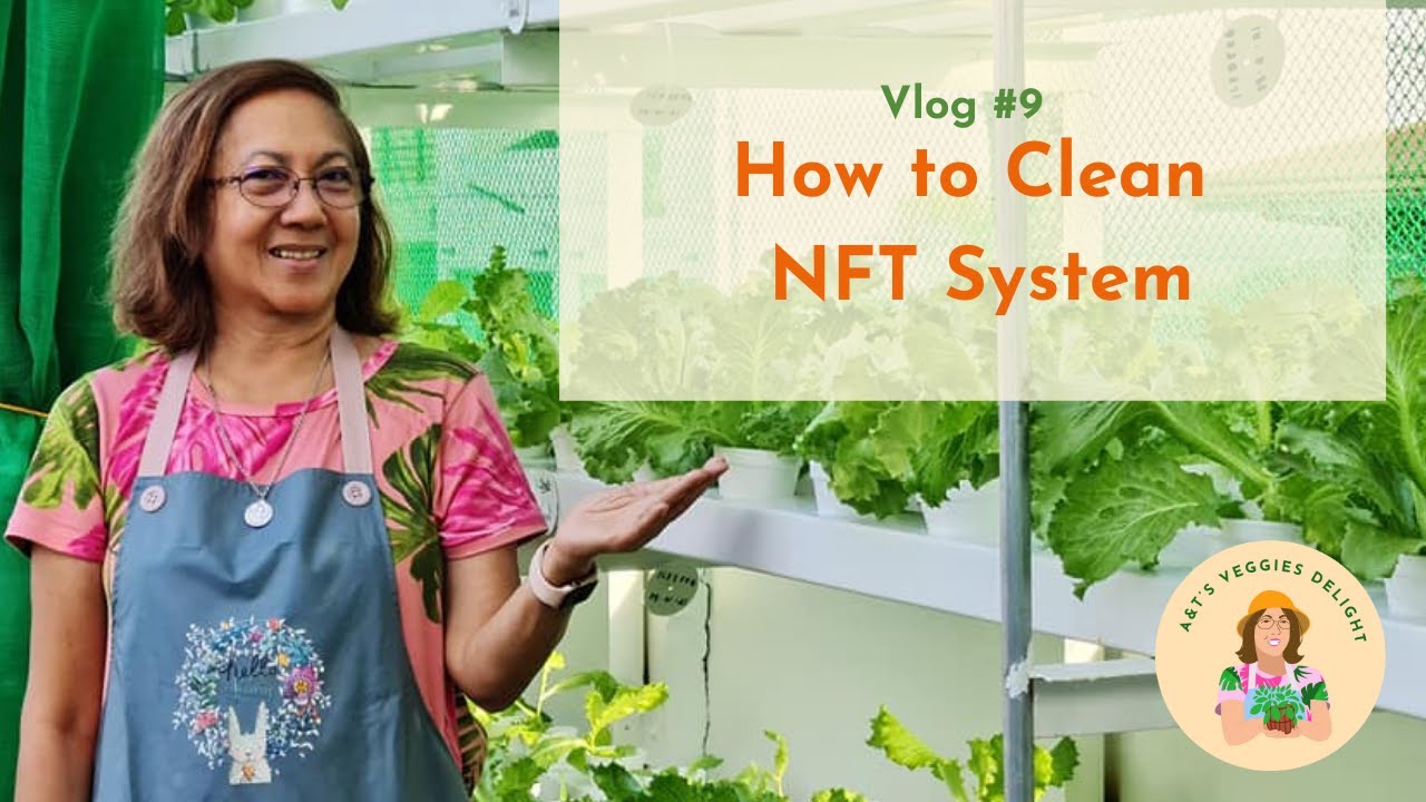 Vlog #9 | How to Clean NFT System
