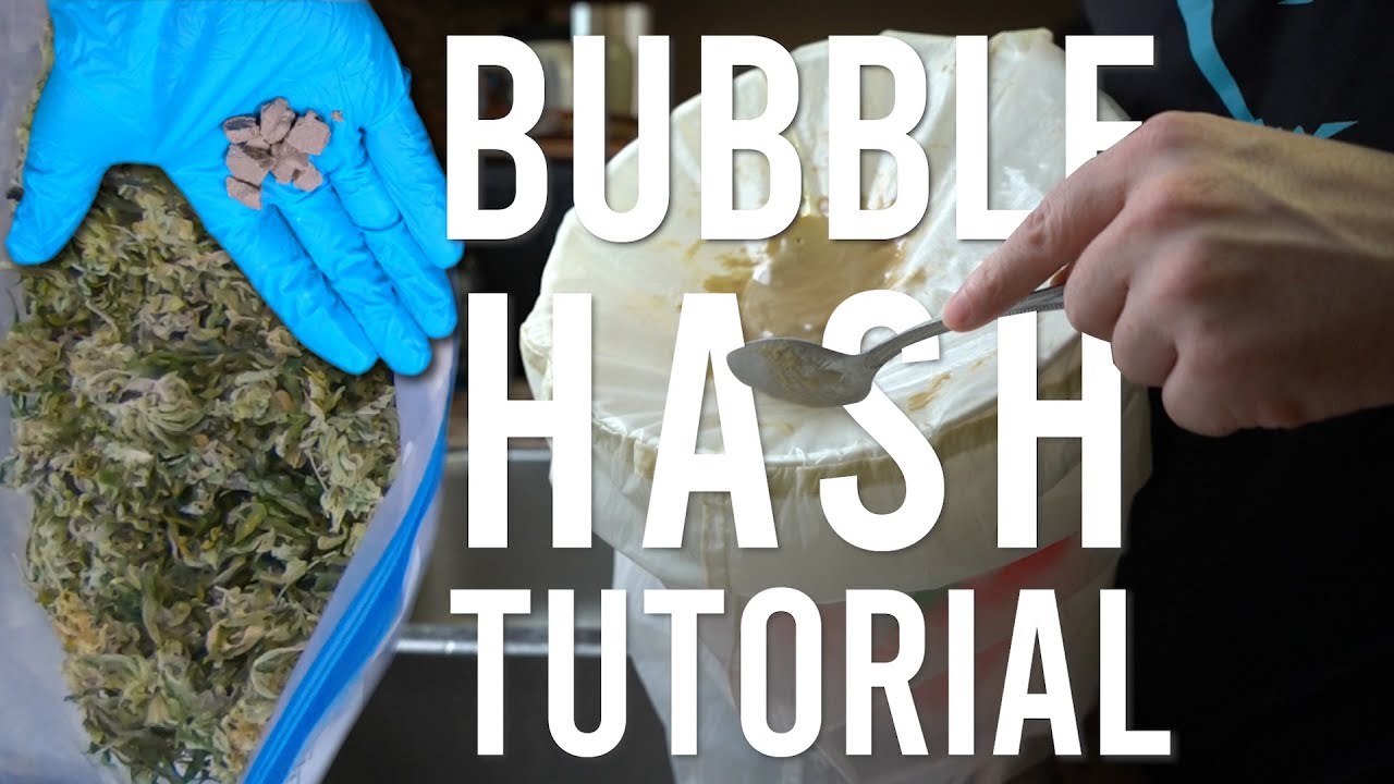 BEGINNERS ICE WATER HASH EXTRACTION TUTORIAL: Turning Shaky Trim Into Bubble Hash