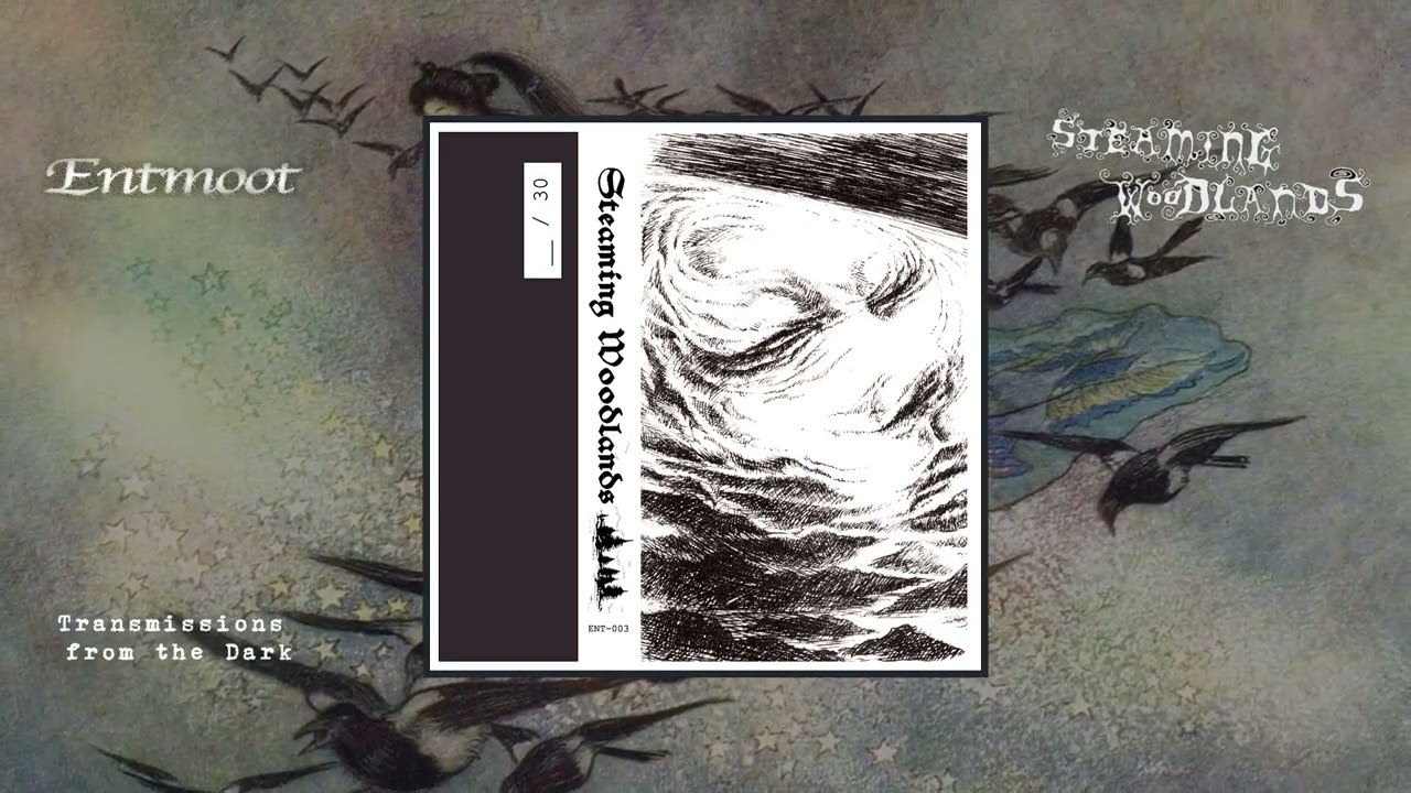 Steaming Woodlands - Chaotic Majesty (full album, 2024)