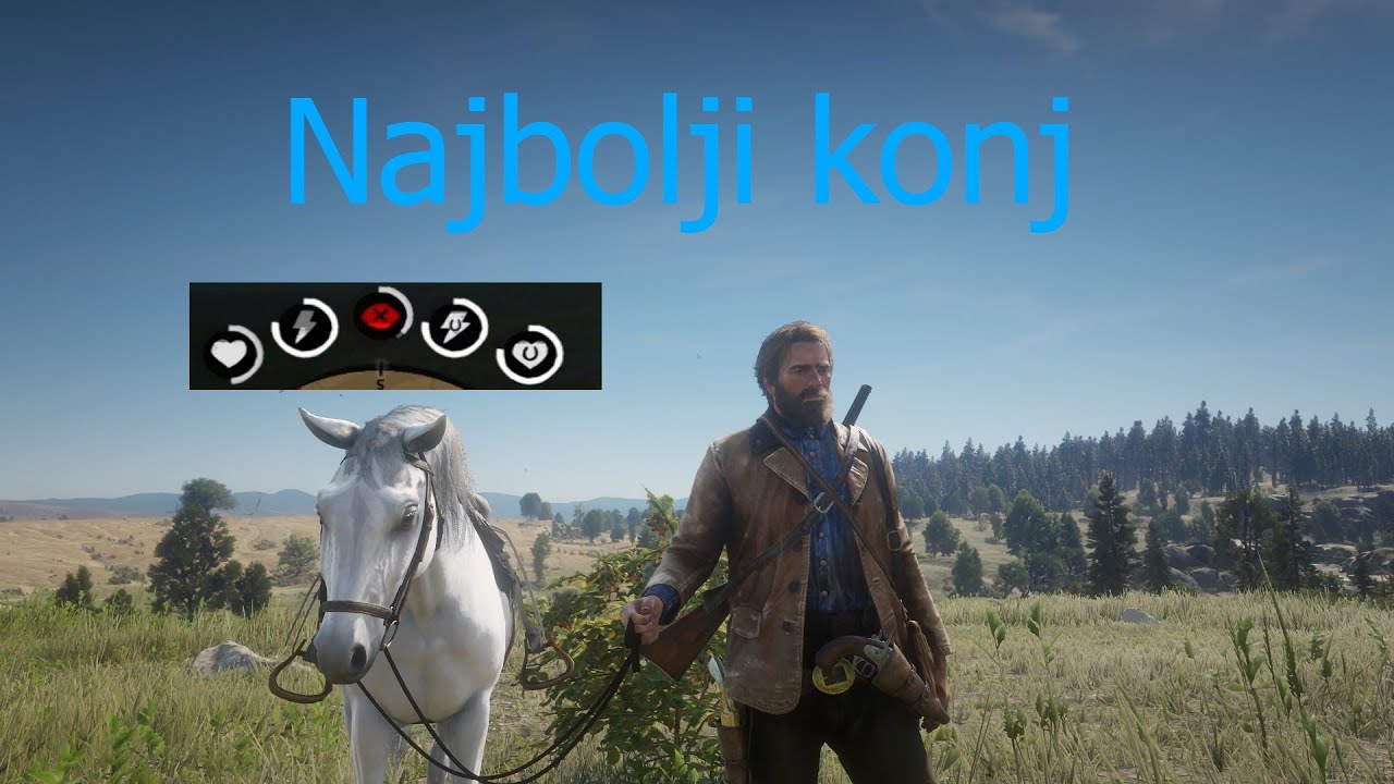 Red Dead Redemtion 2-Kako pronaci ajzbergskog konja.