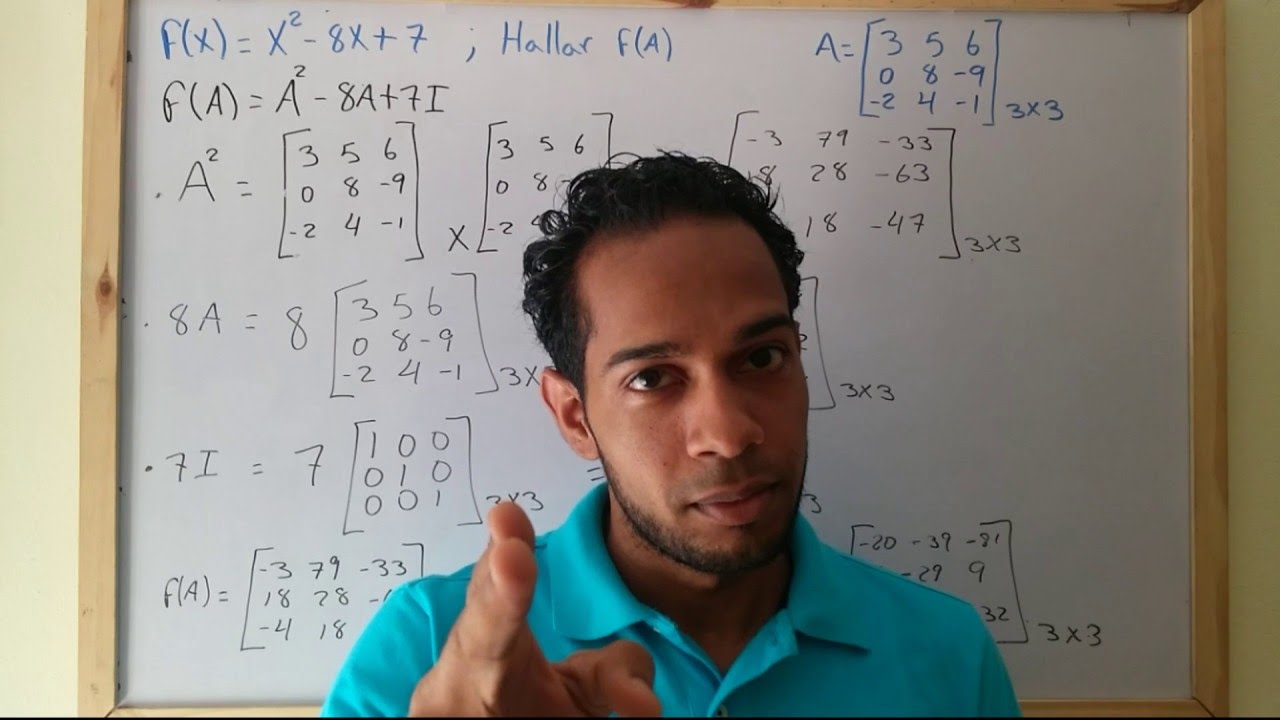 Como hallar la función de una matriz  [F(A), siendo A una matriz]