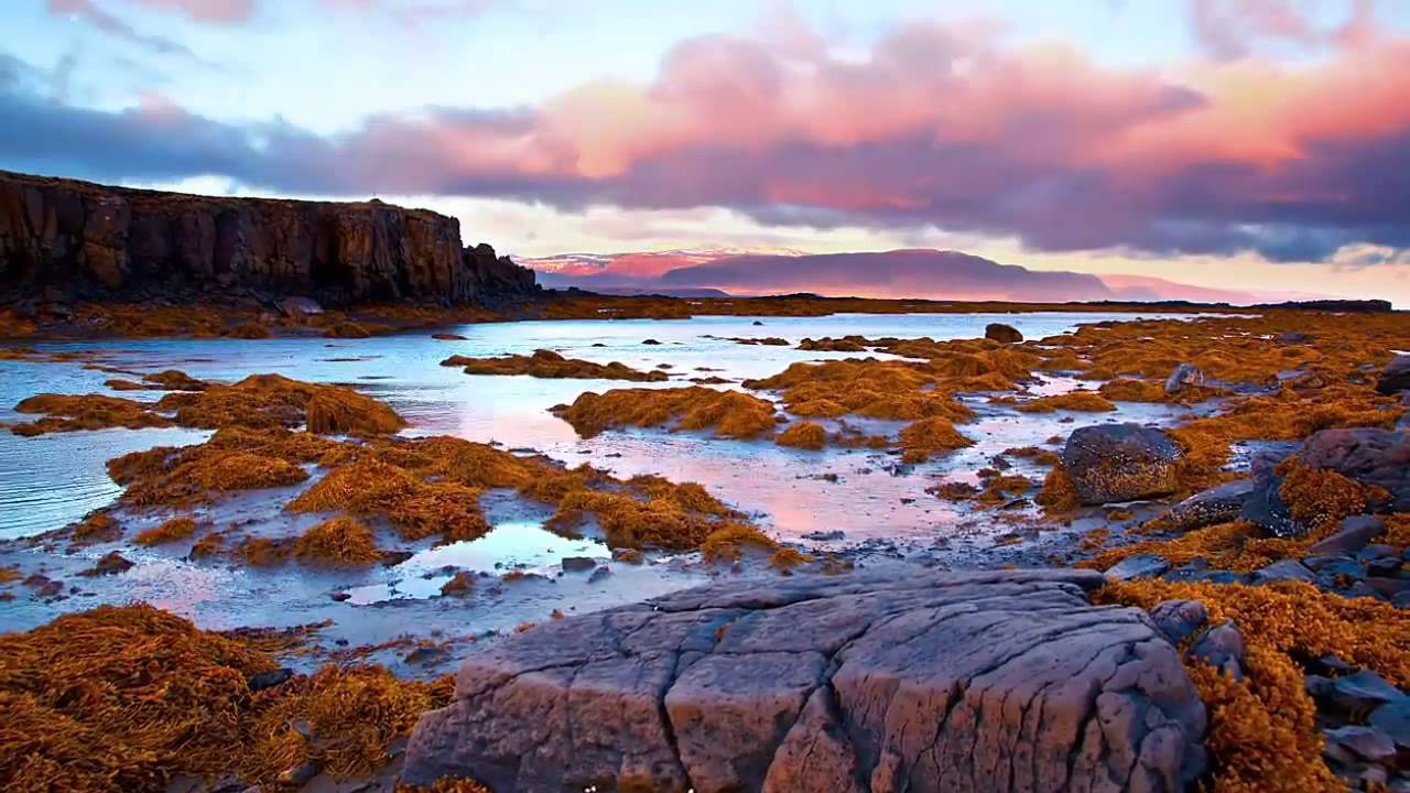 Max Million - The Rout Of Ellipsis