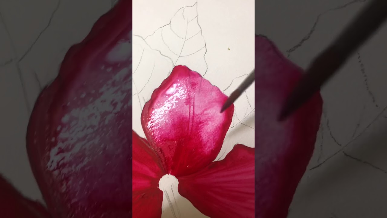 HOW TO COLOUR HIBISCUS FLOWER -CARA MEWARNA BUNGA RAYA BY CIKGU NORAZIAN RONA
