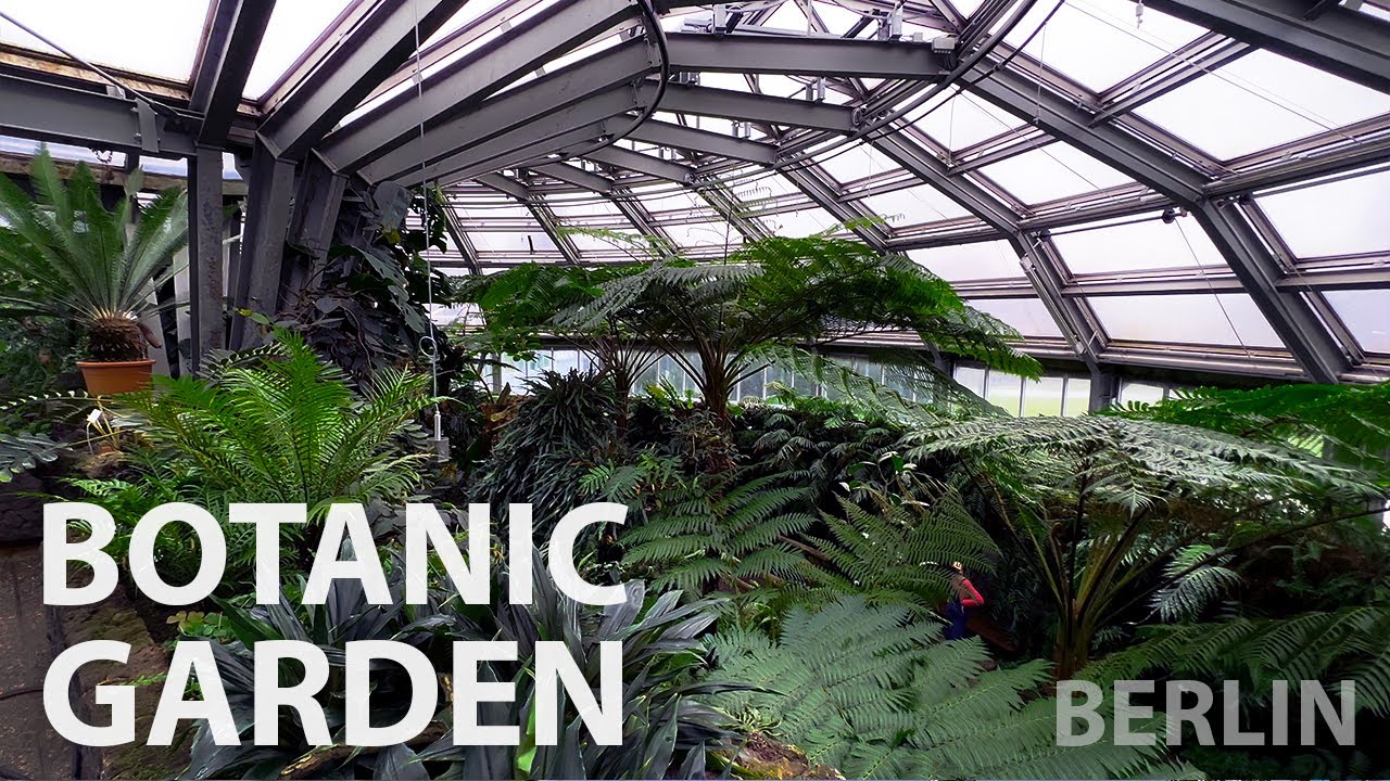 BERLIN | Botanic Garden – Full Tour | Camellia Blooming 4K LIVE - Berlin Walking Tour