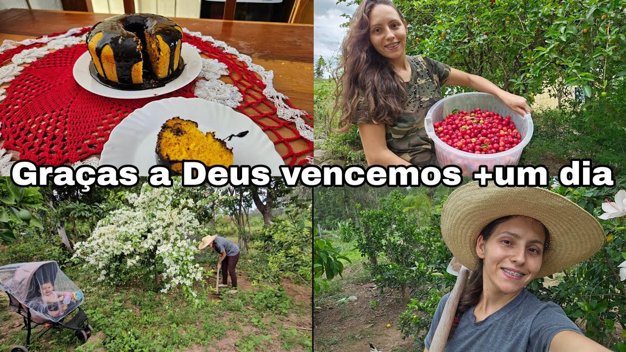 VENCENDO MAIS UM Dia /MARIDO PEDIU EU FIZ MELHOR BOLO🥕LIMPEI O JARDIM/Trabalho duro/