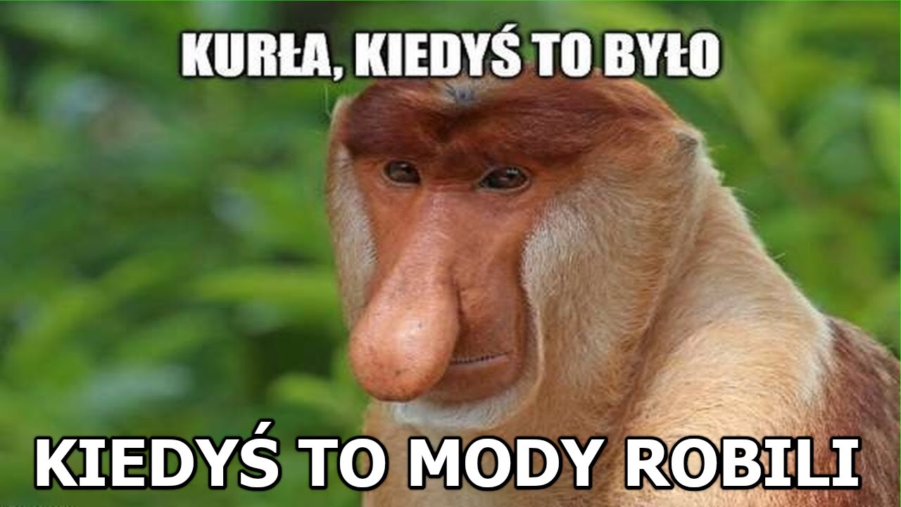 Czysta śmietanka Gothic guilds 1.6 Funny moments - Kajma