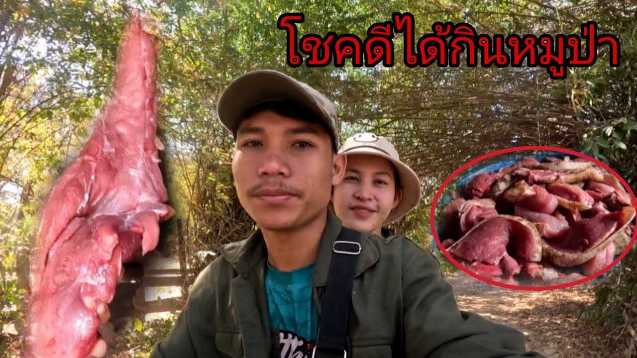เข้าป่าวันนี้ได้กินซอยจุ๊หมูป่า/ເຂົ້າປ່າມື້ນີ້ໄດ້ກິນຊອຍຈຸໝູປ່າ