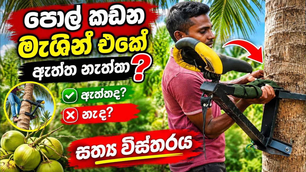 පොල් කඩන මැශින් එකේ ඇත්ත නැත්ත