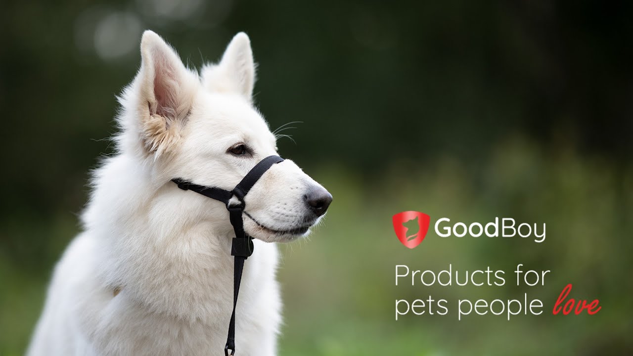 GoodBoy Dog Head Collar Prevents Pulling - Soft & Comfortable.