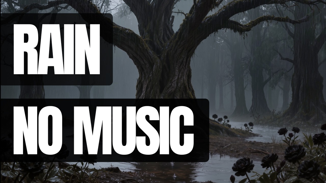 Rain in Dark Forest at Night 🌧️  Relaxing Rain Sounds for Sleep, Study & Meditation | No Music