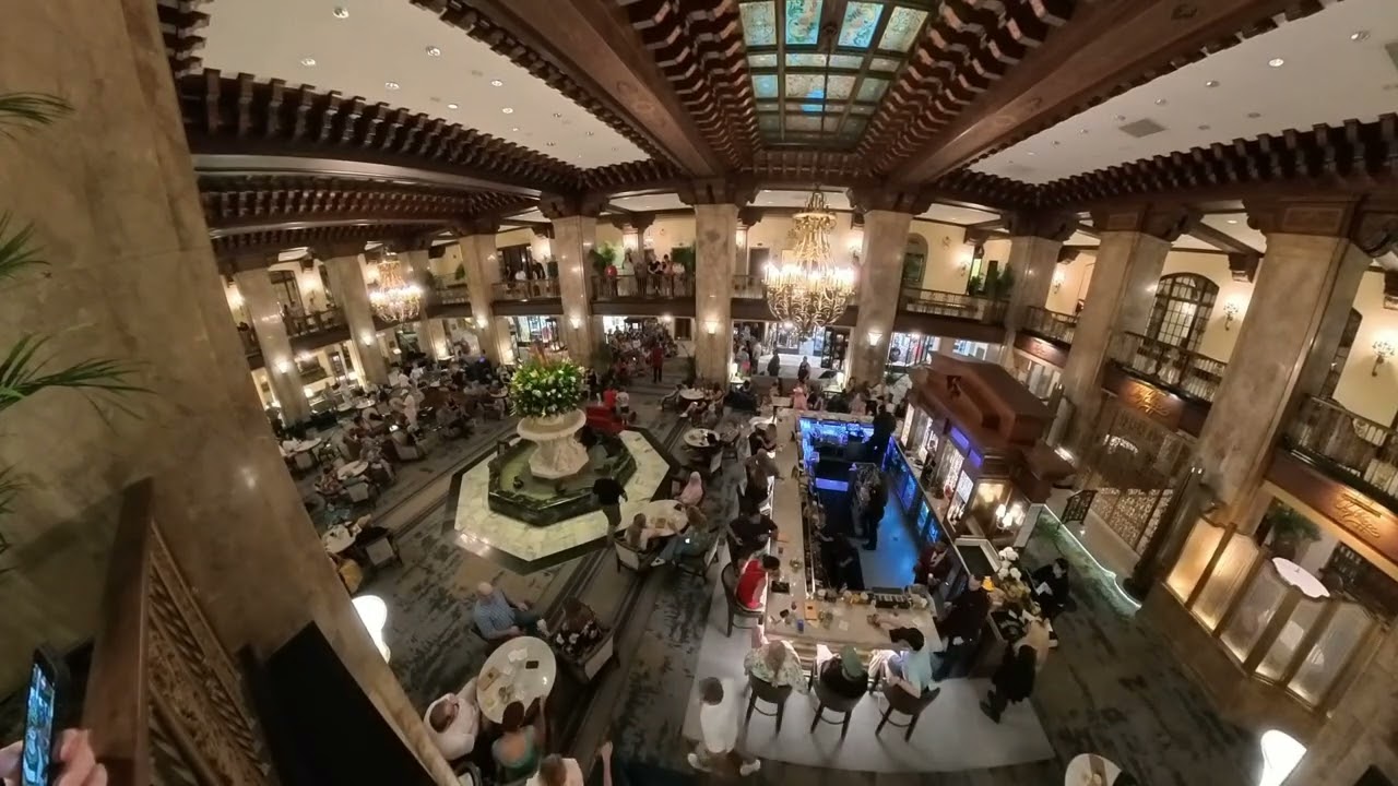 WAI: Peabody Hotel Ducks 2025