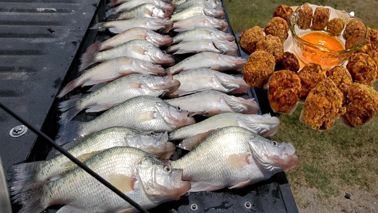 How We (CATCH CLEAN COOK) Monster Crappie *Brand New Recipe*