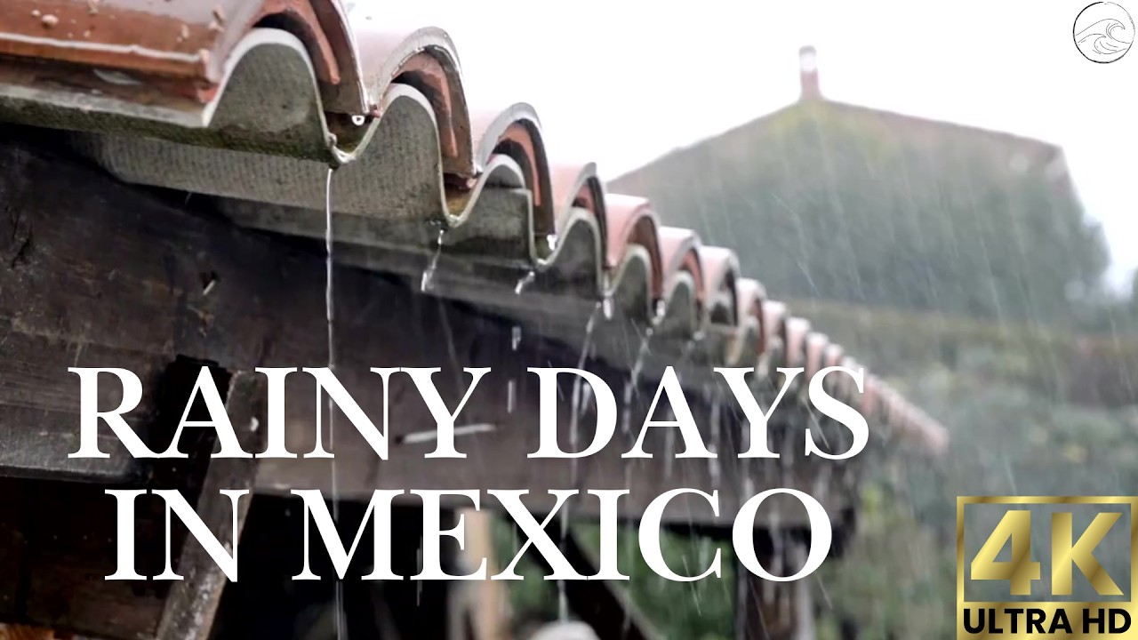 Rainy Days in Mexico 🌧️ | 8 Hour Rain Sounds for Sleep, Relaxation, & Meditation