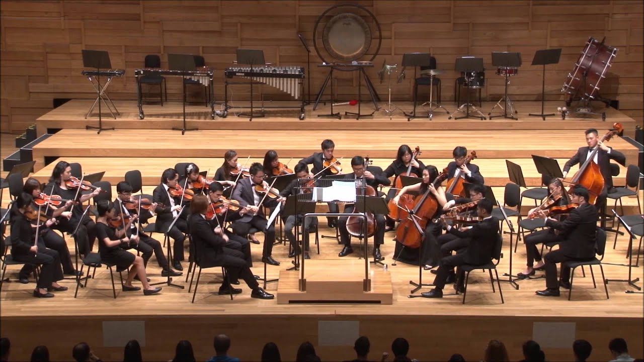 Can You Feel the Love Tonight - Elton John | SP String Ensemble Alumni
