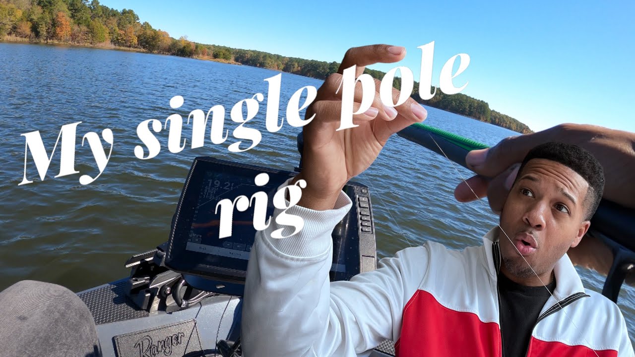 Livescope single pole jigging rig!