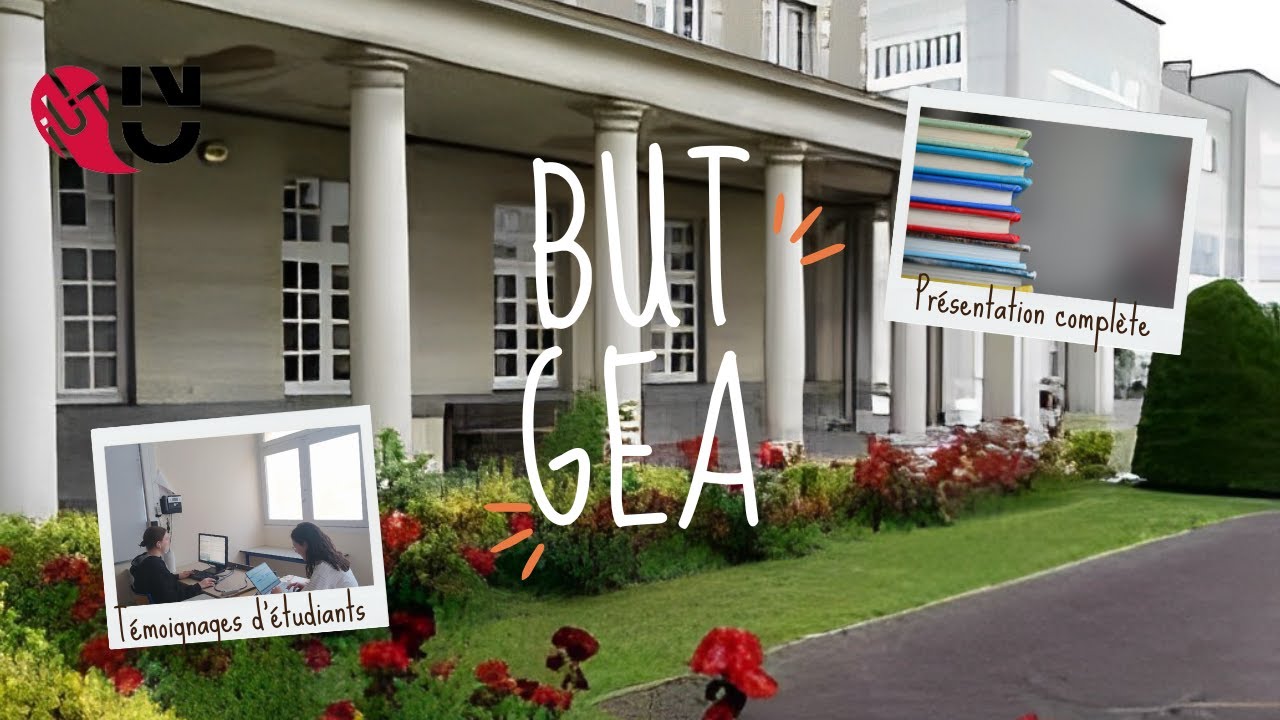 Le BUT GEA à l'IUT de Nantes | Présentation