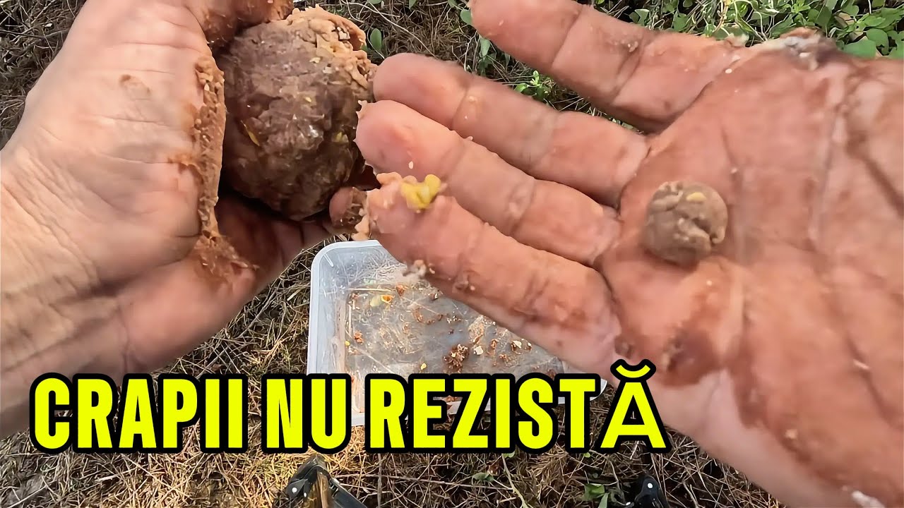 Am creat 2 momeli NOI pentru crap&hellip; nimeni nu le folosește