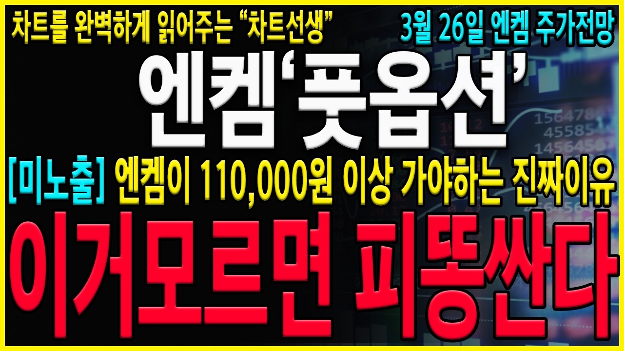 [엔켐 주가 전망] 