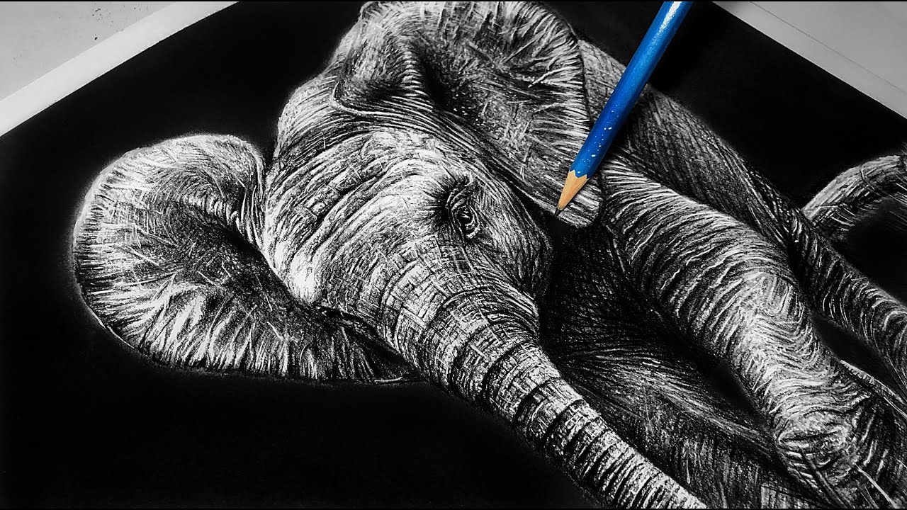 Realistic ELEPHANT drawing || Baby elephant pencil portrait