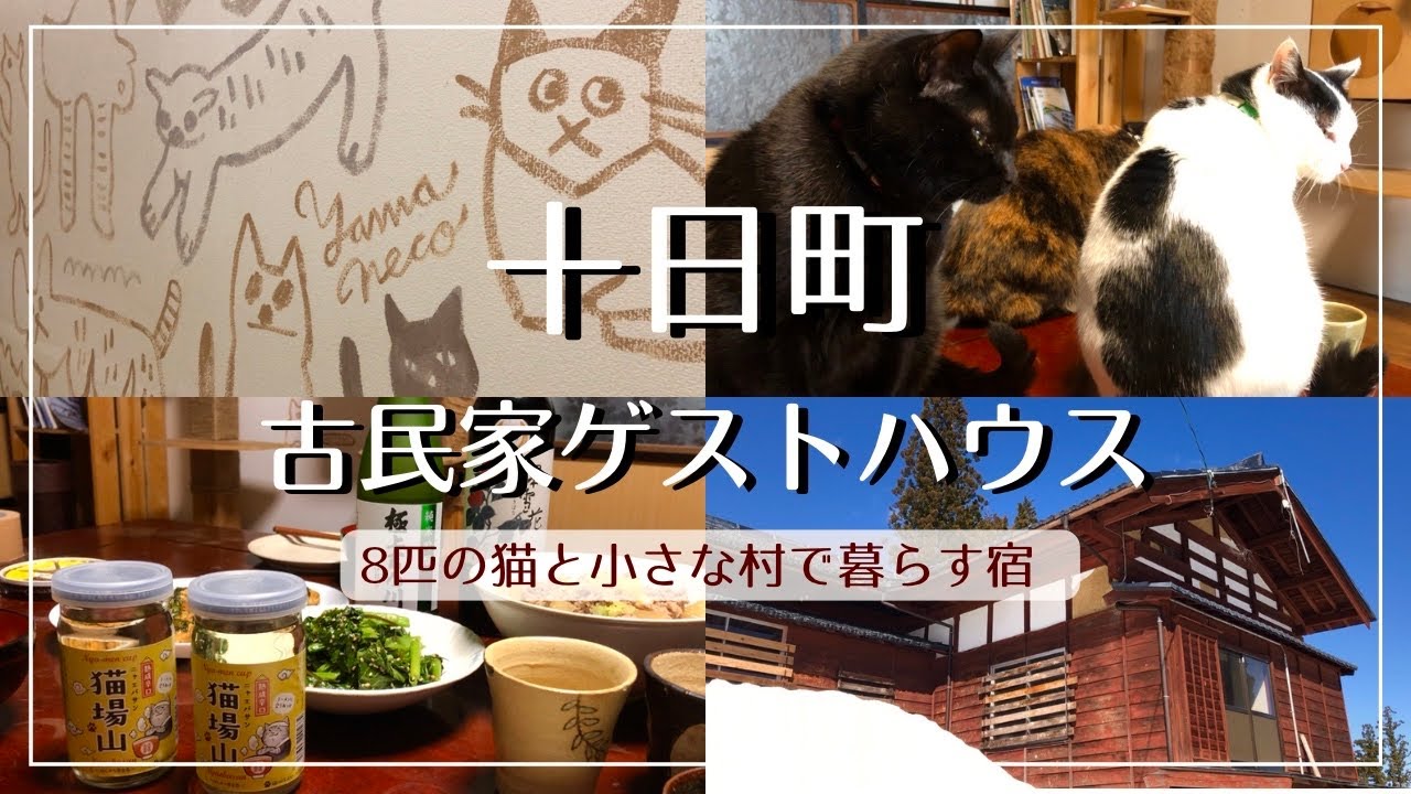 【新潟】大地の芸術祭の地 十日町で 8匹の猫と暮らす宿『古民家ゲストハウスやまねこ』/お手伝いをして泊まる「やまねこ物々交換」/おてつたび【体験記】
