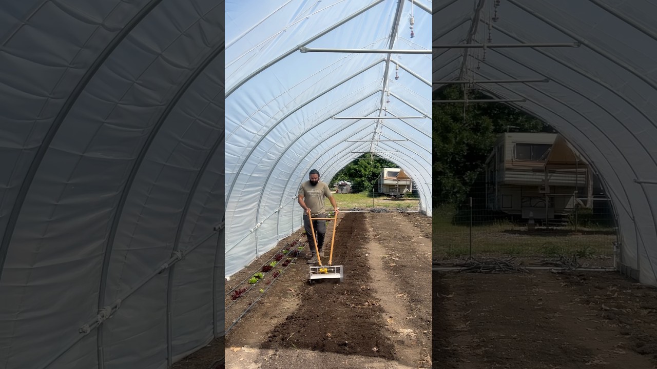 How to Prep a garden Bed the No-Till Way #gardentips #sustainablesolutions #sustainability #notill