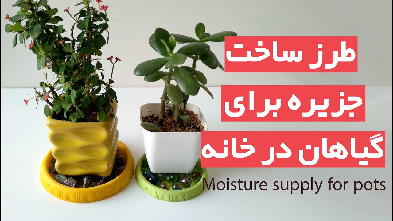 نحوه ساخت جزیره برای گلدان ها - با وسایل دم دستی