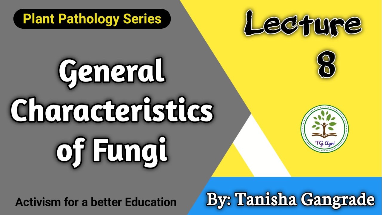 General Characteristics of Fungi | Introduction of Mycology by Tanisha Gangrade