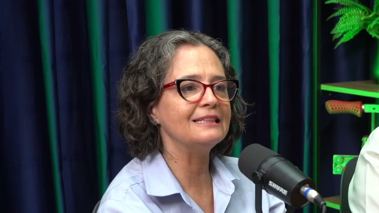 Como começar na apicultura e meliponicultura do jeito certo