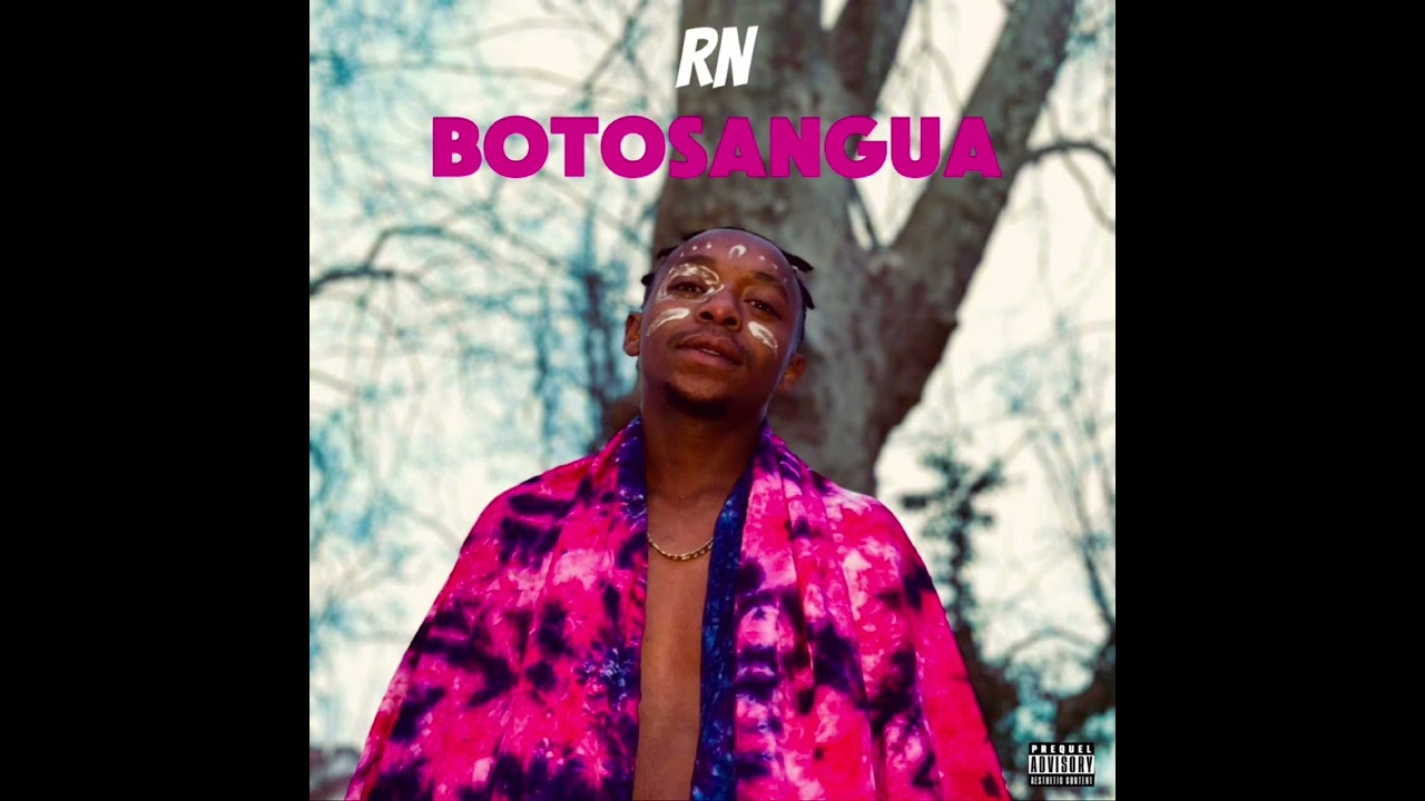 RN - BOTOSANGUA [ OFFICIAL AUDIO ]