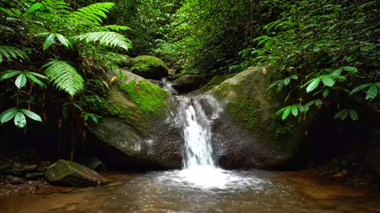 REALISTIC RIVER STREAM FOR STUDY, SLEEP, RELAXATION AND INSOMNIA RELIEF | CALM NATURE SOUND