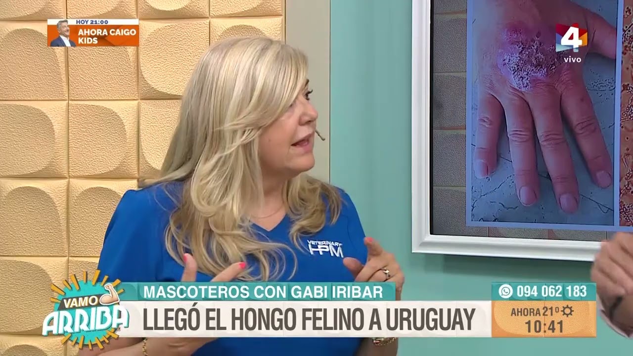 Vamo Arriba - Llegó el hongo felino a Uruguay