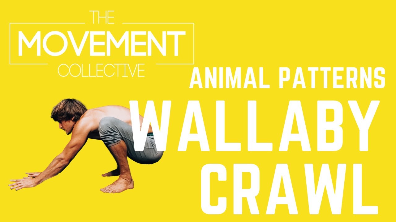 How to Wallaby Crawl - Animal Flow
