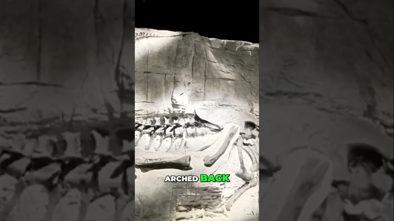 Dinosaur Death Pose: The Secret of Fossil Posture #shorts