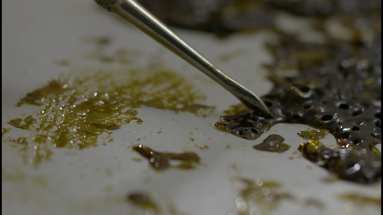 How Making Butane Honey Oil Affects Lives | Part 3