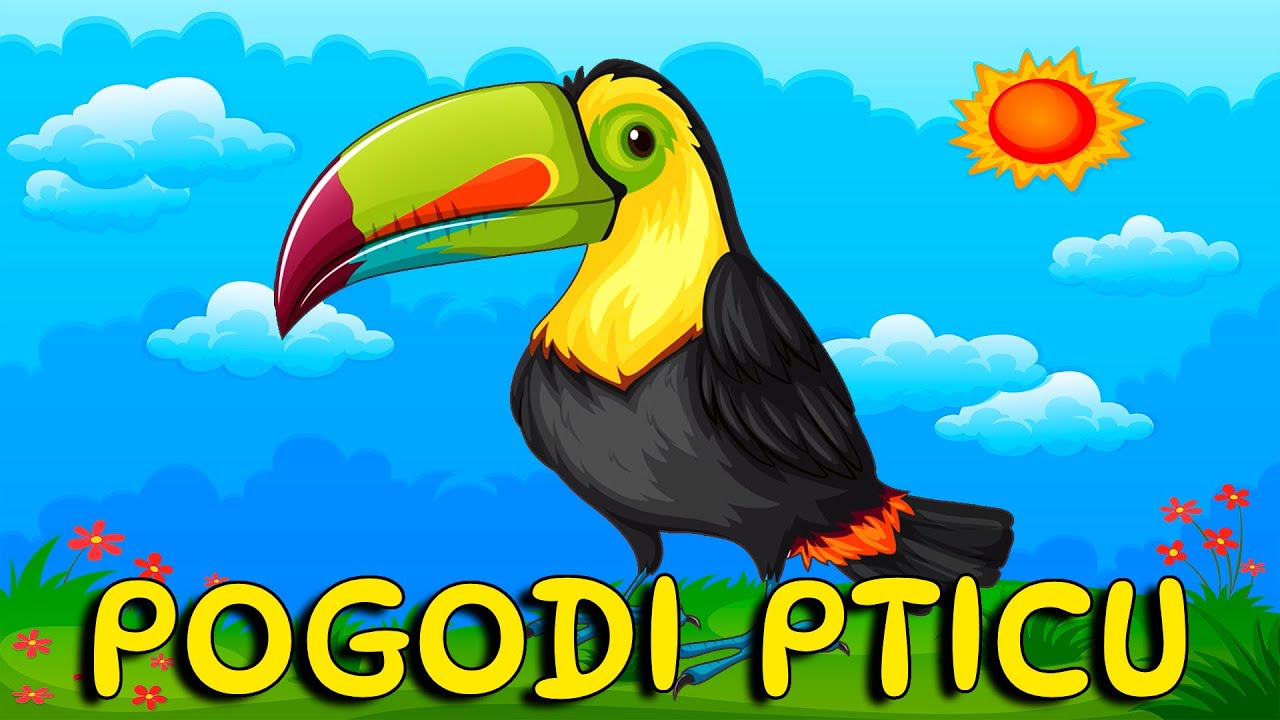 Pogodi Zivotinju - PTICE 🦅 Životinje Za Djecu 🦉 Pepi TV 🦜 Edukativni Crtani Za Decu