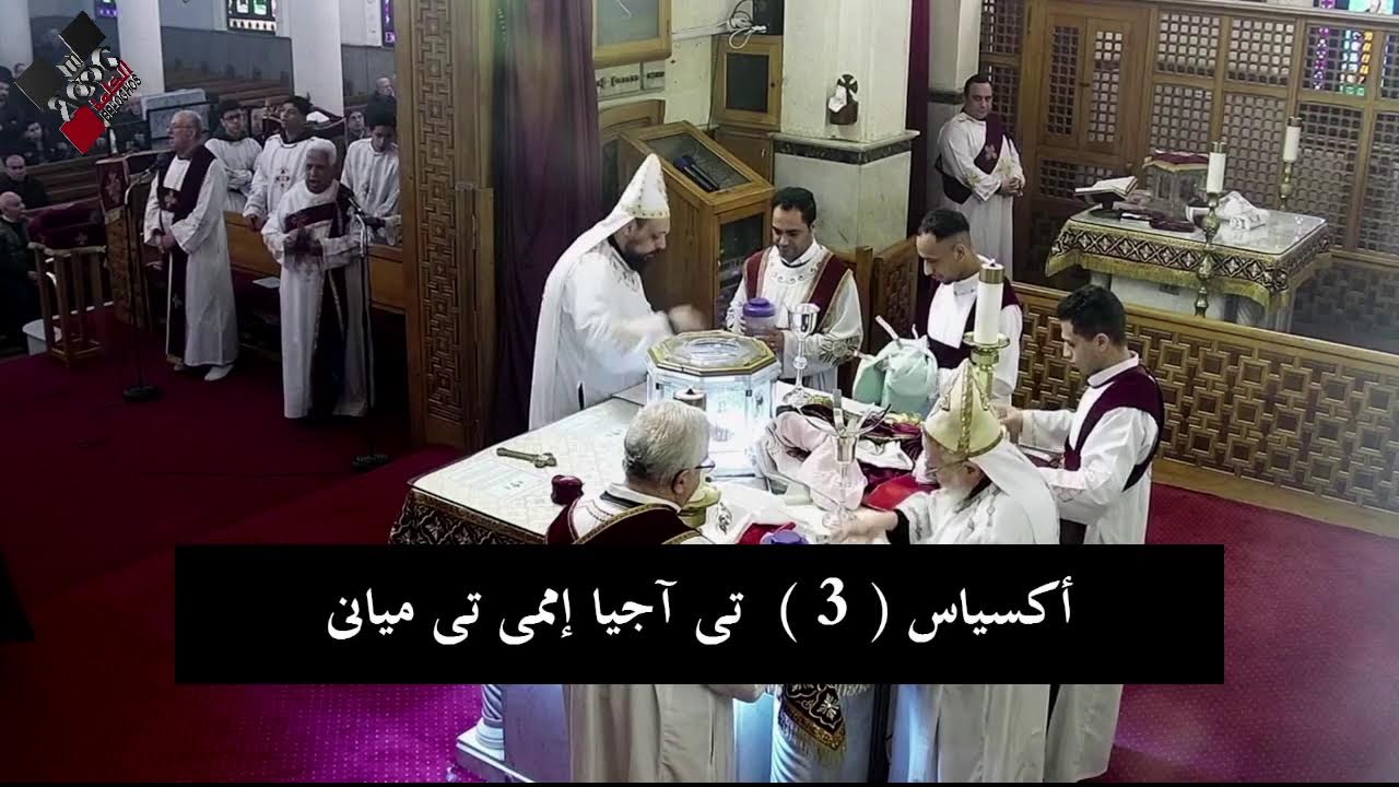 قداس عرس قانا الجليل 21 يناير 2026 | الجزء التاني