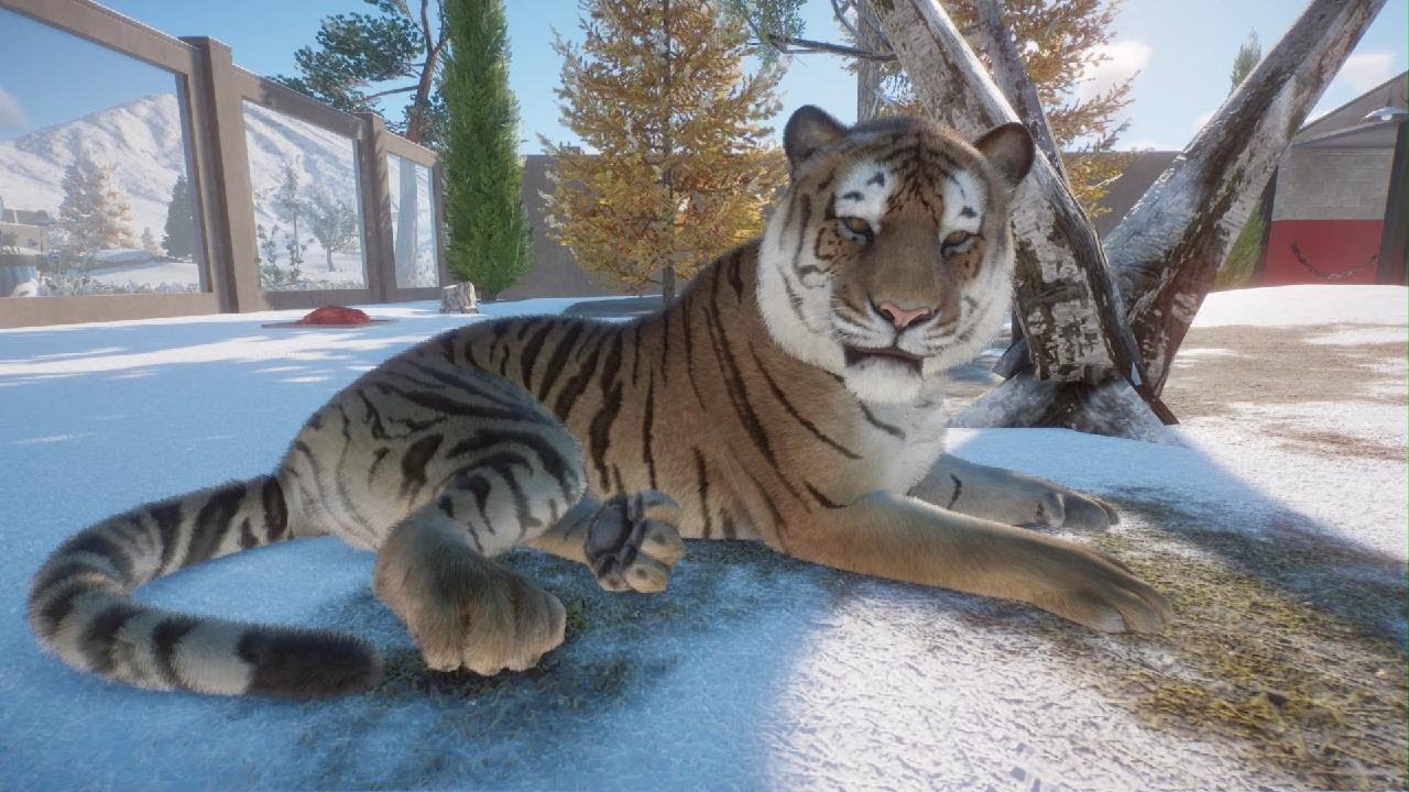 Planet Zoo: Siberian Tiger