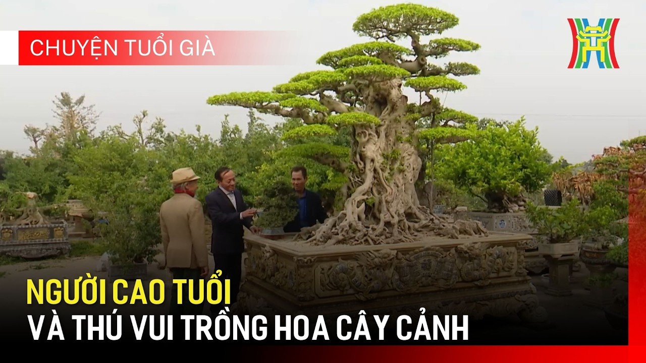 Người cao tuổi và thú vui trồng hoa cây cảnh | Chuyện tuổi già