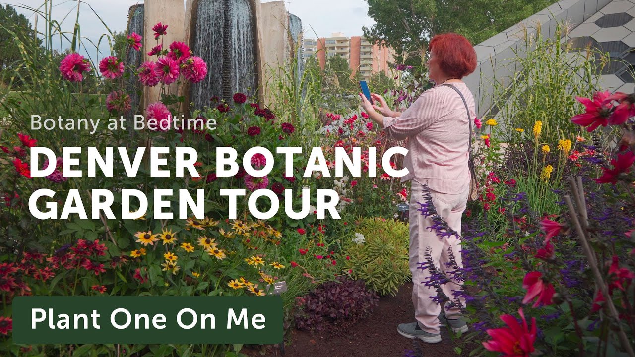 Join Me on a MEDITATIVE WALK Through the DENVER BOTANIC GARDENS — Ep. 287